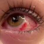 photo_2024-12-11_00-56-58