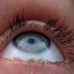 photo_2024-12-11_00-57-01