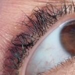 photo_2024-12-11_00-57-06